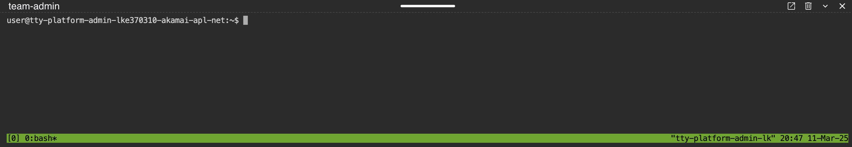 APL Team Shell APL Team Shell